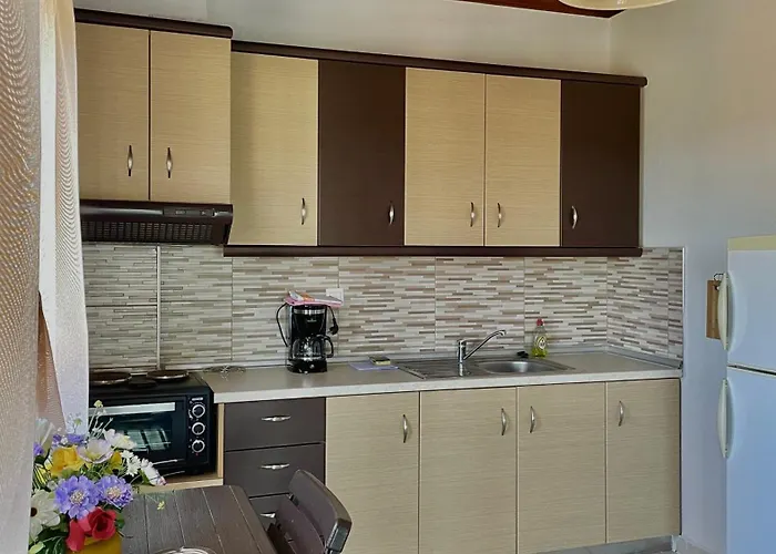 Anna Dani * 沃尔沃罗