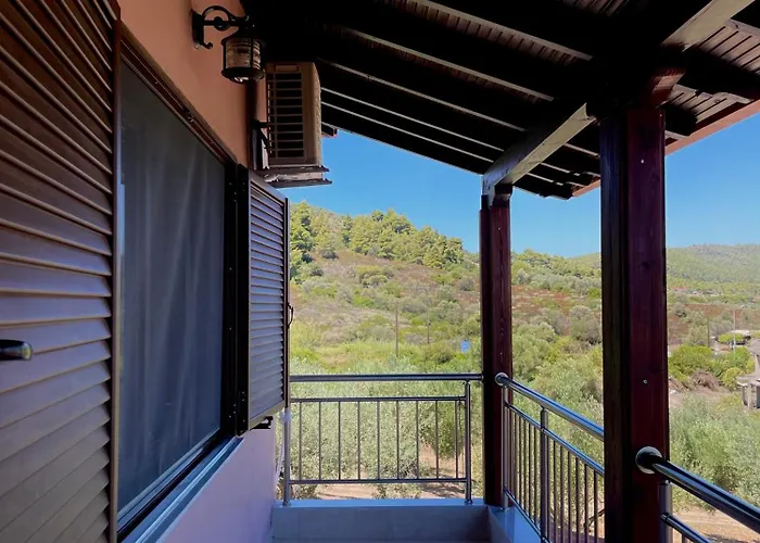 Anna Dani * 沃尔沃罗